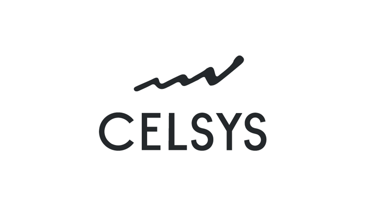 Announcement of Celsys Medium-term Business Plan and Consolidated Financial Results for 2024